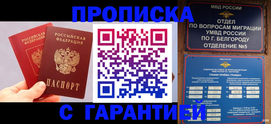 прописка 2025 в Клине